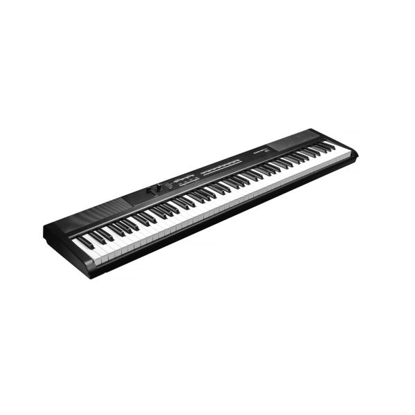 Kurzweil KA-S1