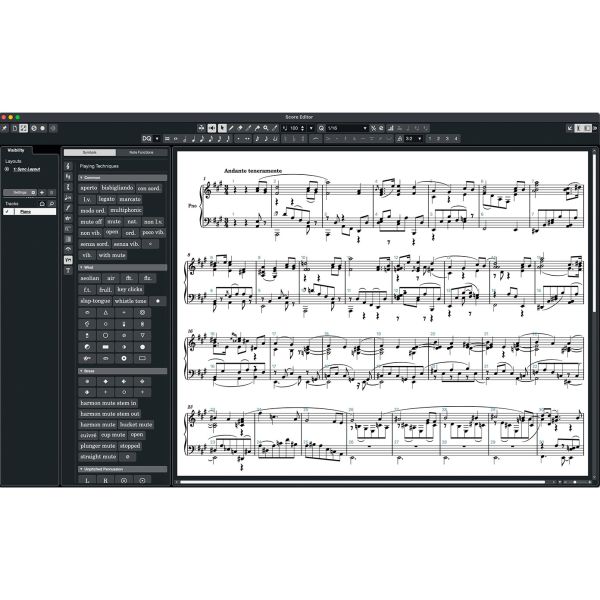 Steinberg Cubase Elements 15 Education - Einstiegs-DAW für Studierende und Lehrkräfte - Download