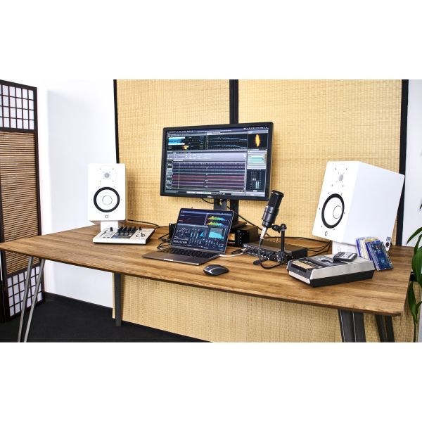 Steinberg WaveLab Elements 13 Full Version - Mastering-Software für angehende Musiker und Sounddesigner - Download