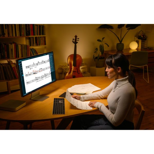 Steinberg Dorico Pro 6 Education - professionelle Notensatz- und Kompositionssoftware, Bildungsversion - Download